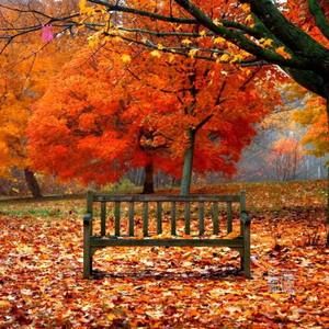 Meet your Posher, Antonella